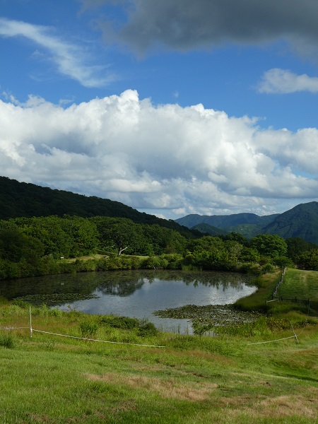 夏の高原の空、雲は生まれては消えていく ～今年(２０１９年)のお盆の過ごし方・・吾妻高原の自然を味わう⑥