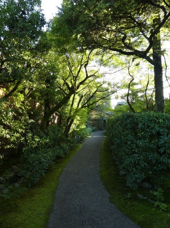 今年の秋⑤　上賀茂神社への道－その３－
