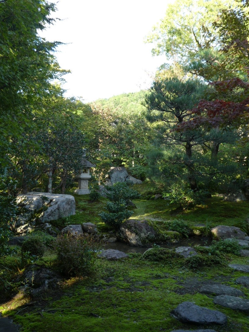 今年の秋⑤　上賀茂神社への道－その４－