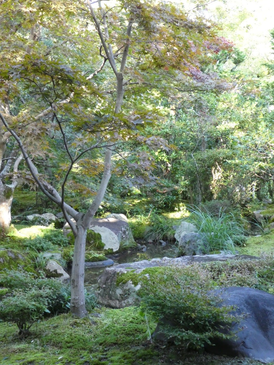 今年の秋⑤　上賀茂神社への道－その５－