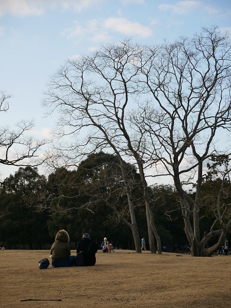 冬の奈良を歩く⑤《冬の野原で熱く語る人たち》